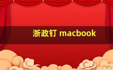 浙政钉 macbook